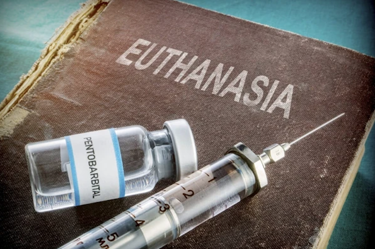 New Zealand Approves Euthanasia, Poised To Reject Recreational Marijuana Use