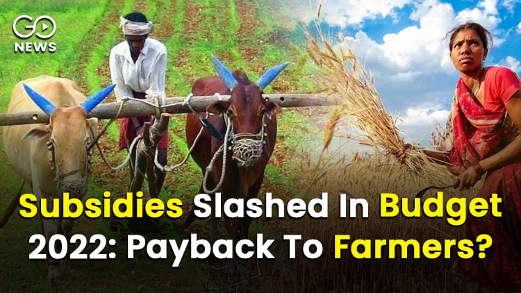 Major Cutbacks in Farm Subsidies in Budget After Farm Law Showdown with Farmers