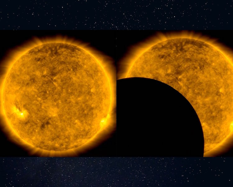 Moon 'Photobombed' NASA's View Of Sun, Space Agency Shares Surreal Video 