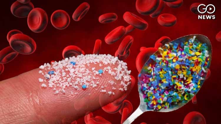 Dutch Study Finds Microplastics In Human Blood For The First Time 