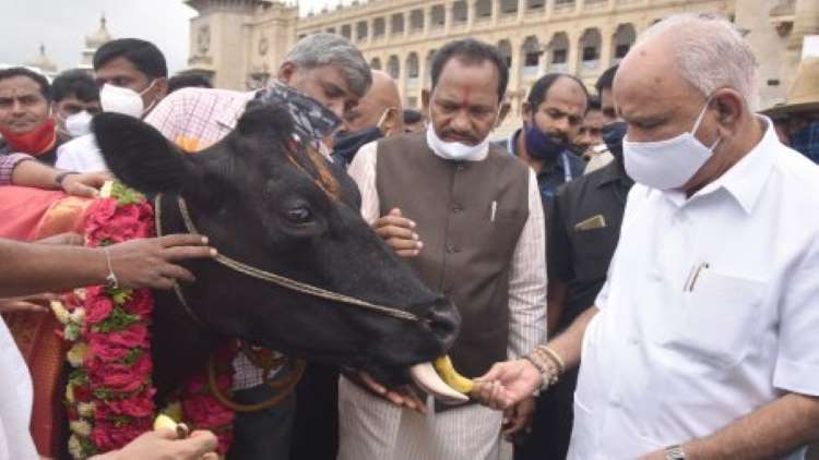 Anti-Cow Slaughter Bill Passed By Karnataka Assembly, BJP Performs Puja