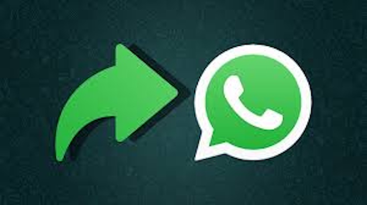 Withdraw New Privacy Policy: Centre Pings WhatsApp