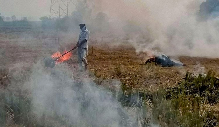 Delhi's Air Quality Likely To Deteriorate As Farmers Start Stubble Burning In Punjab