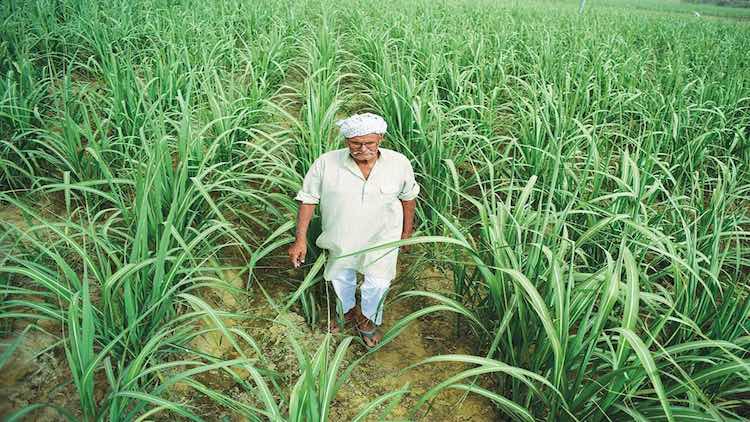 Why Farmers, Common Man Fail To Reap Benefit Despi