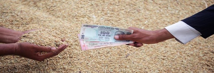 No ‘Jai Kisaan’ in Budget 2020- A Farmer’s Verdict
