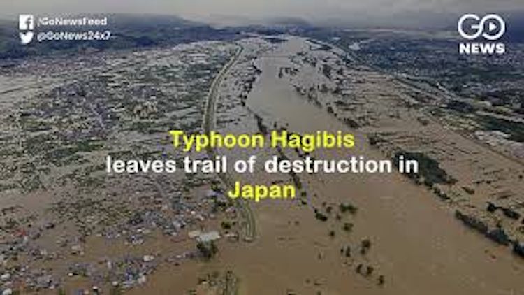 Typhoon Hagibis Leaves Trail Of Destruction In Jap