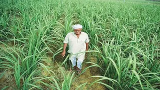 Why Farmers, Common Man Fail To Reap Benefit Despi