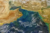 Harmful Algae Blooms In Arabian Sea Linked To Hima