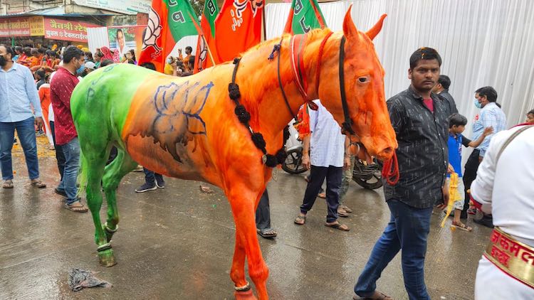 Manuka Gandhi&#39;s NGO Files Complaint After BJP Flag Painted On Horse At Jan Ashirwad Yatra