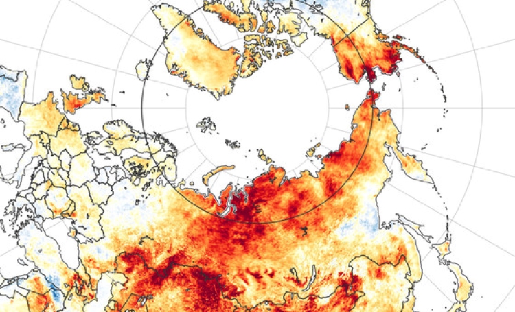 Watch: Dramatic Arctic Fires and Sea Ice Melt, Sho