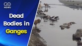 Dead Bodies in Ganges:  Human Rights Body issues n