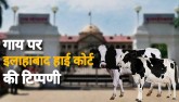 Allahabad HC Thinks Cow Gives Oxygen, Should Be Na