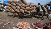 Centre Bans Onion Exports In A Bid To Tame Inflati
