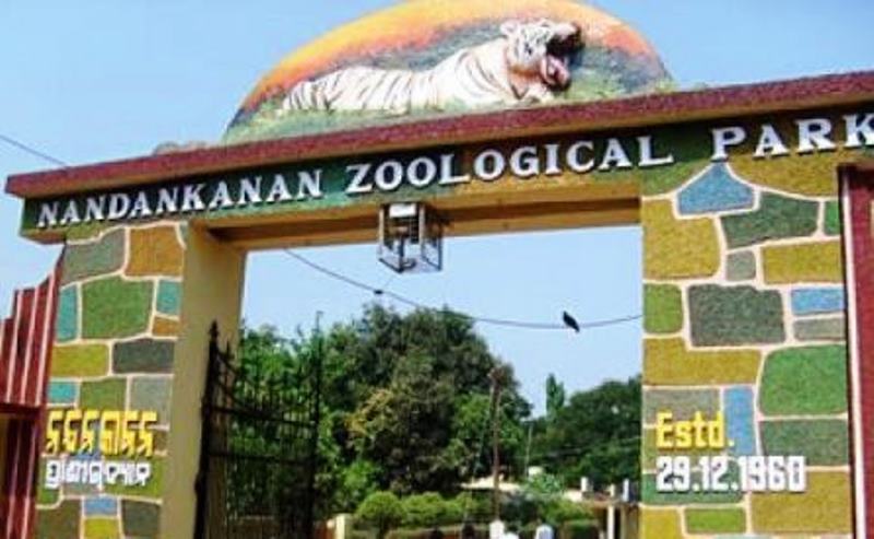 Odisha: Nandankanan Zoo Reopens