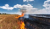 If Stubble Burning Is Behind Rising Air Pollution 