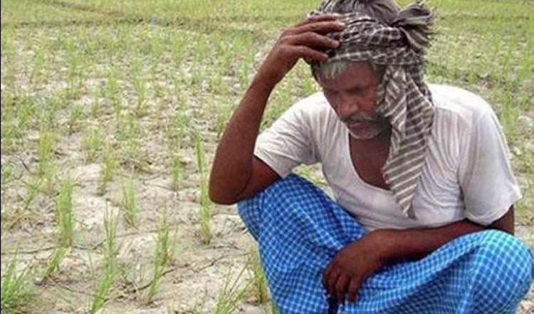 the farmers of Maharashtra are hit by monsoon, cro