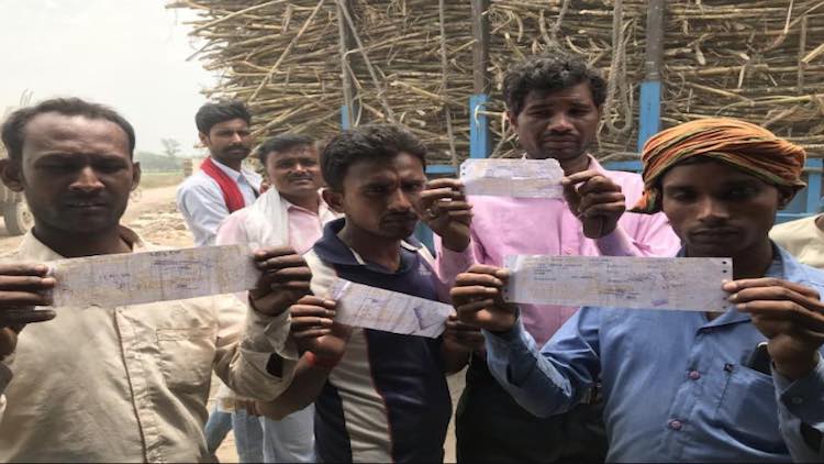 Sugarcane Farmers Protest In Moradabad