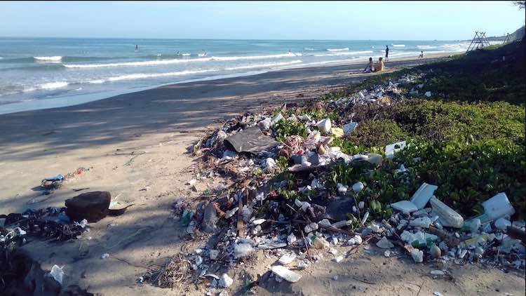 Plastic Marine Debris: Consumers Concerned But Not