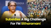 Sitharaman Finance Minister Subsidies Farming Inpu