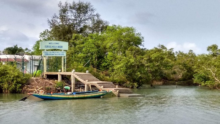 Community-Run Tourism Can Help Sundarbans Cyclone 