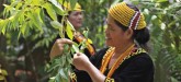 World Indigenous Day: UN Chief Spotlights Indigeno