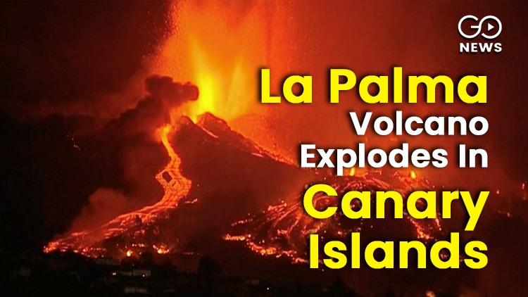 La Palma Island Cumbre Vieja  Volcano Eruption Can