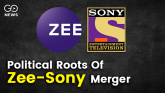 Zee Sony Merger Matrix 