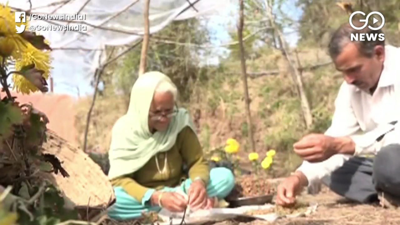Jammu's 85-year-Old Green Warrior