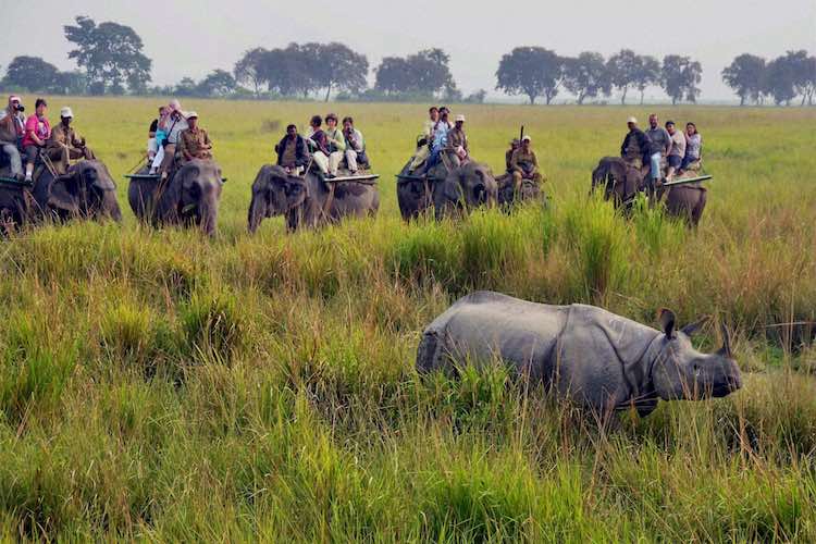 CAA: Assam's Tourism Industry Losses Rs 400 Crore,
