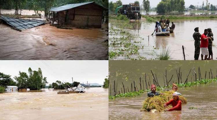 Kaziranga National Park submerges 80% from flood, 