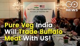 Buffalo Meat India's Largest Animal Export 