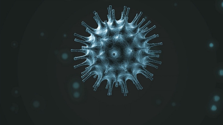 Coronavirus: Deadly Virus Claims Over 1,700 Lives 