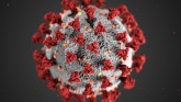 Coronavirus: 2nd Confirmed Case In India