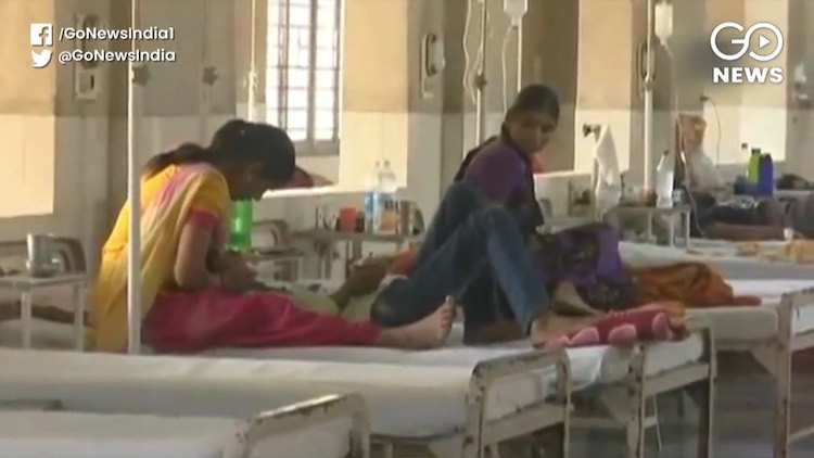 Chikungunya, Malaria Cases On The Rise In Delhi