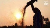 Loan Waiver: Thousands Of Crores Announced But Far