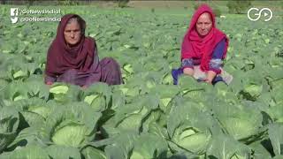 J&K: Organic Farming Changing Lives In Rajouri