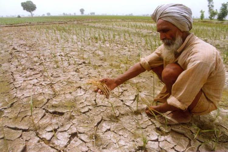 in 2018, more than 10 thousand farmers committed s