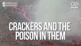 Bursting With Toxins: How Much Pollution Do Firecr