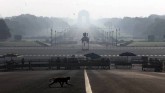 Low Pollution During Lockdown In India Saved 630 L
