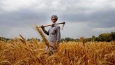 Indian Agriculture: A Tale of Two Blindspots