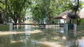 80% Kaziranga National Park Submerged; Flood Havoc