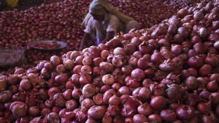 Unseasonal Rain Destroys Onion Crop, Farmers Force