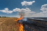 Stubble Burning: Crop Fires Start, Rate Higher Tha