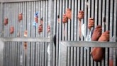  69% Of Inmates Languishing In Indian Jails Are Un