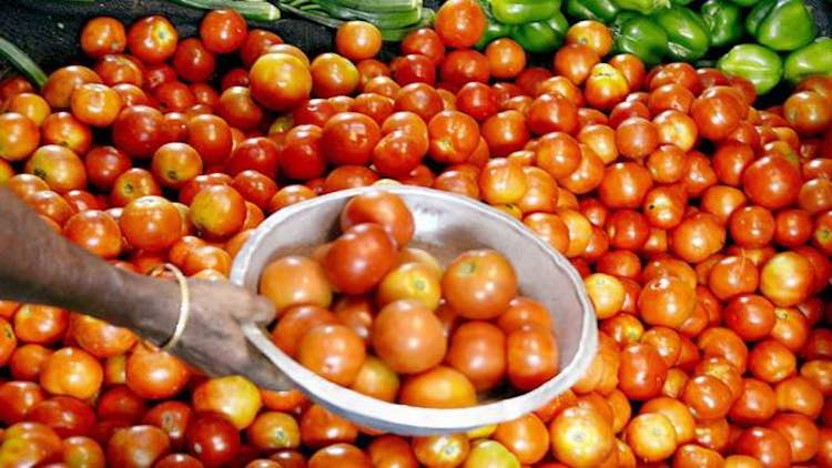Delhi tomato price