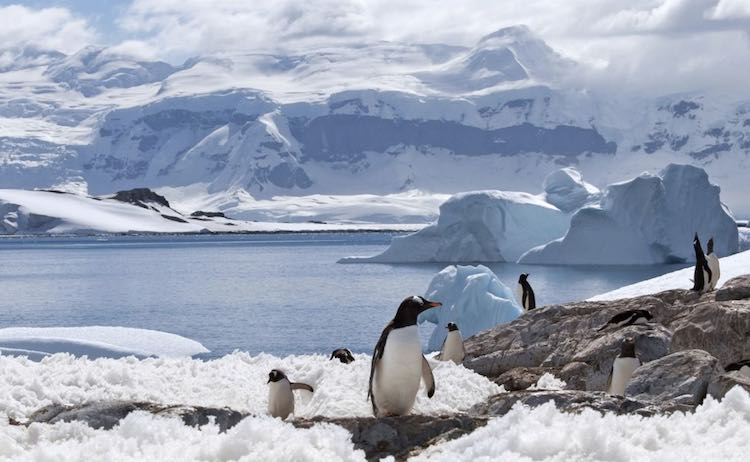 Antarctica, the world's coldest continent warming 
