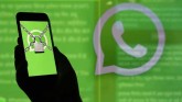 Special Report: With These Precautions, Whatsapp W