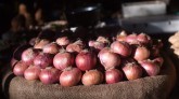 Onion Export Banned Again: Huge Decline In Exports
